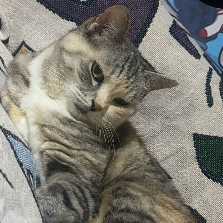 84e54289 c808 434f 845c d4e4c6e8a3ba 1719119591942