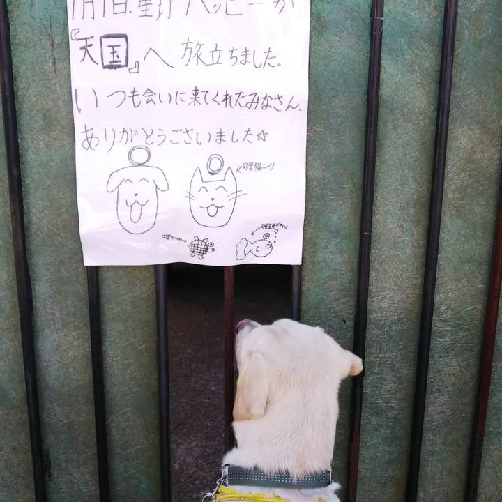 84e5441e 1730 4c43 91d0 aab514d31bd4 1515727583668