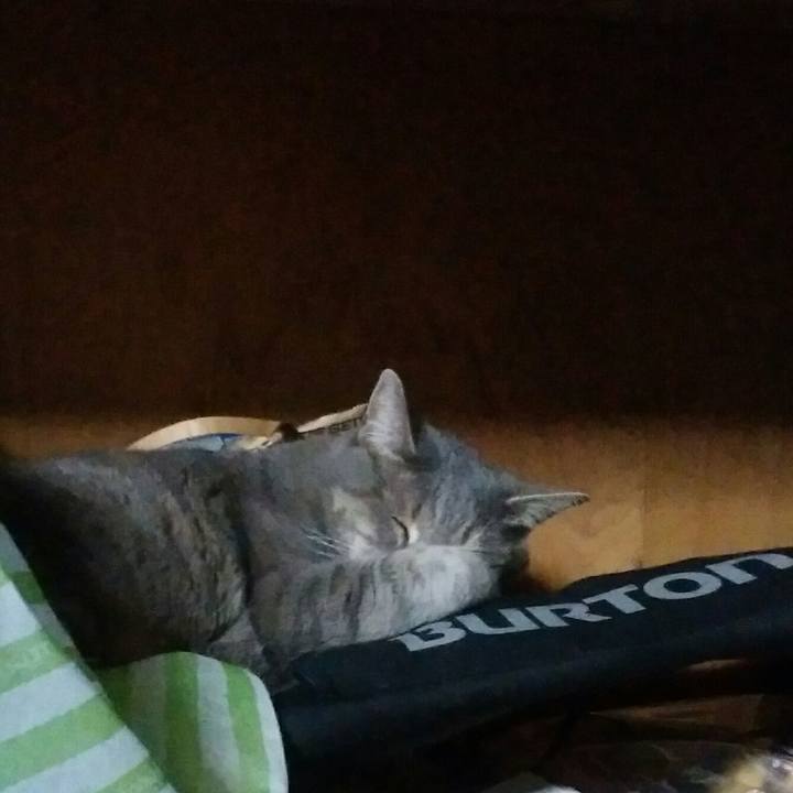 84e56df6 3693 454e af74 bcde8bd5d776 1524942806697