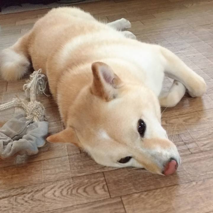 84e571c8 b065 4661 b7d1 59b56f2dfb5f 1565734882982