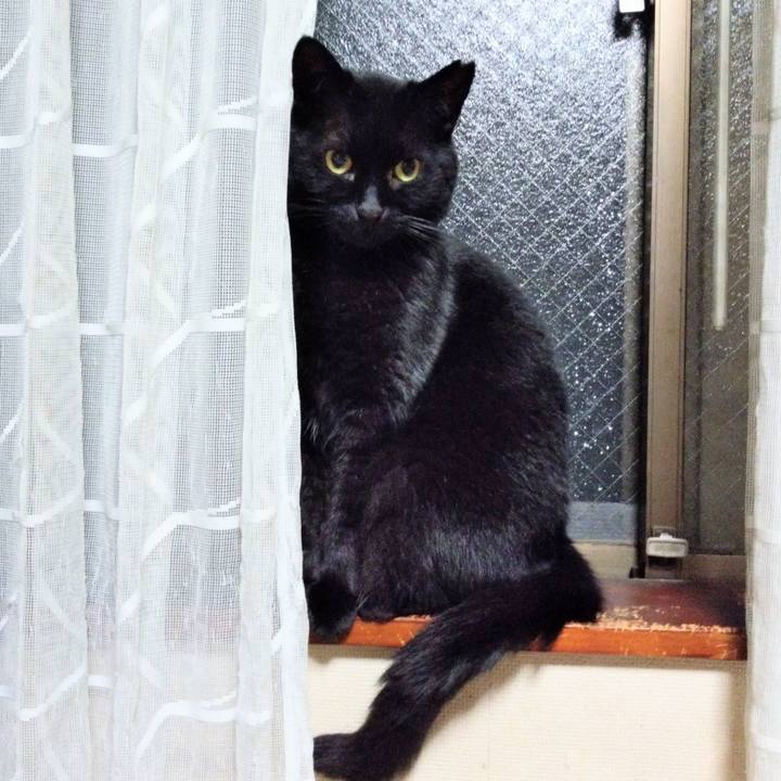 84e57996 402e 4dda a549 2dfe33962972 1622809971894