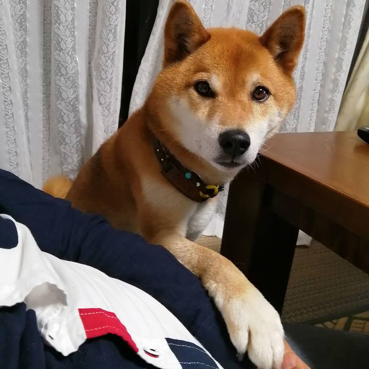 84e58156 ef3a 46ce 85b0 7e026e12787d 1620734601001