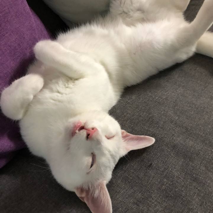 84e5b0bc d0e6 42e6 b335 d8e8191bfdae 1564570707386