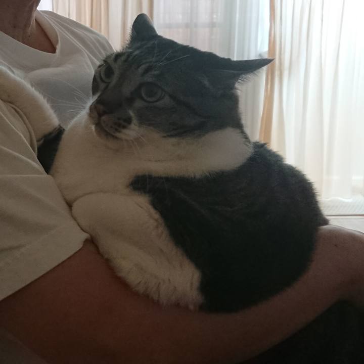 84e603b4 8451 44a9 ae1e 918be072c9ee 1567216813446