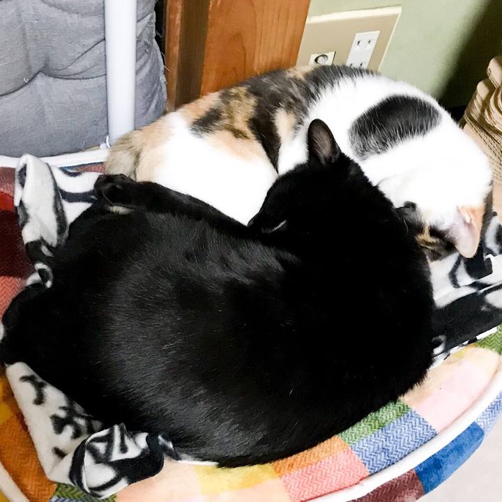 84e60b6f a03c 494c b27f b2b509c18850 1511698676089