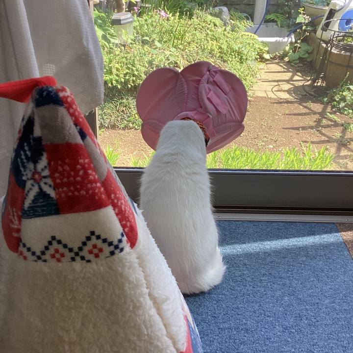 84e61320 ac6d 469f 95a1 f6f2d547f35f 1683694193521