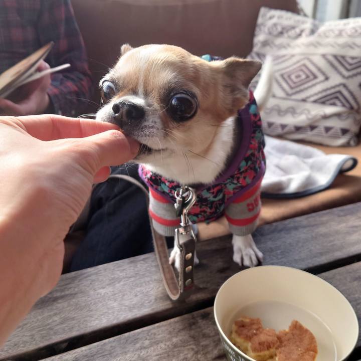 84e646bd d935 4bd3 a256 e6994066ed50 1705217931248