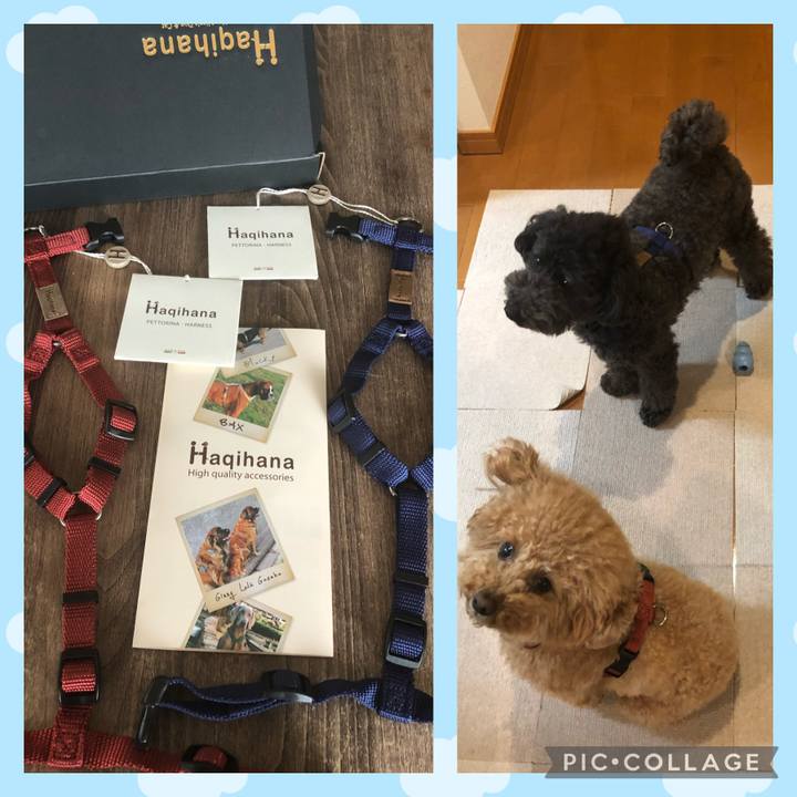 84e64981 93ce 46af aec7 0abcb9fe80f0 1618378945326