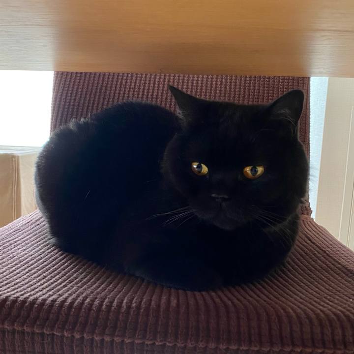 84e65a7a 16dd 43c9 8f8a 512cf7077df5 1717372764676