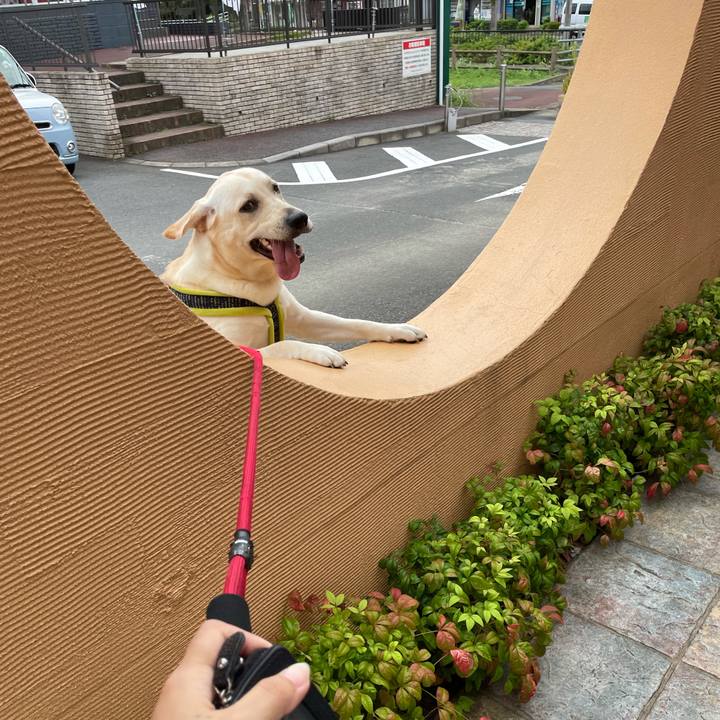 84e6687f b1b2 4049 9ded cd2924f17d36 1632814938979