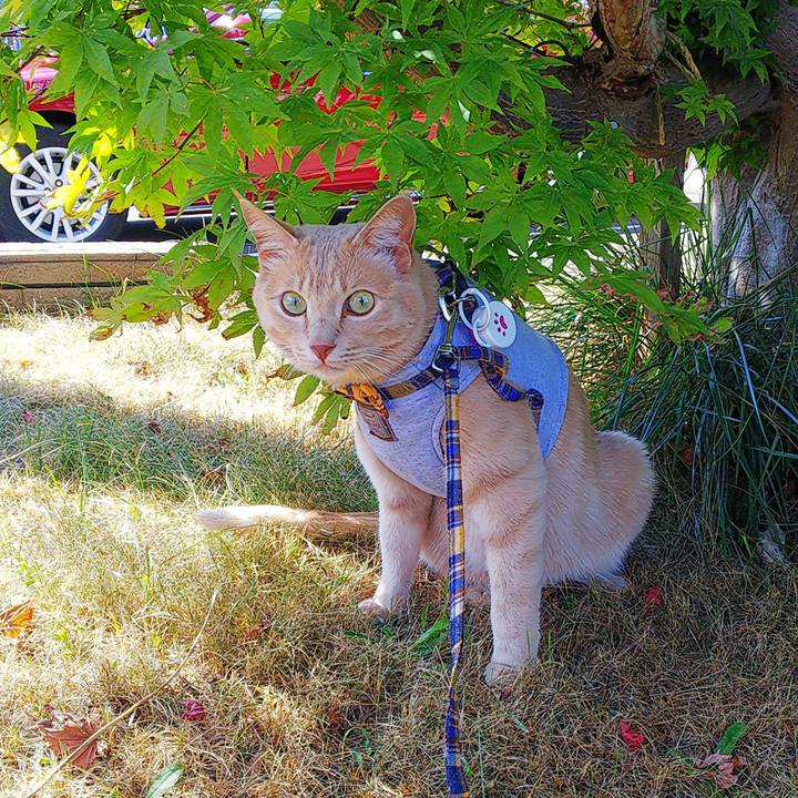 84e693d8 63a6 42e9 8027 431c971693e7 1632538065235