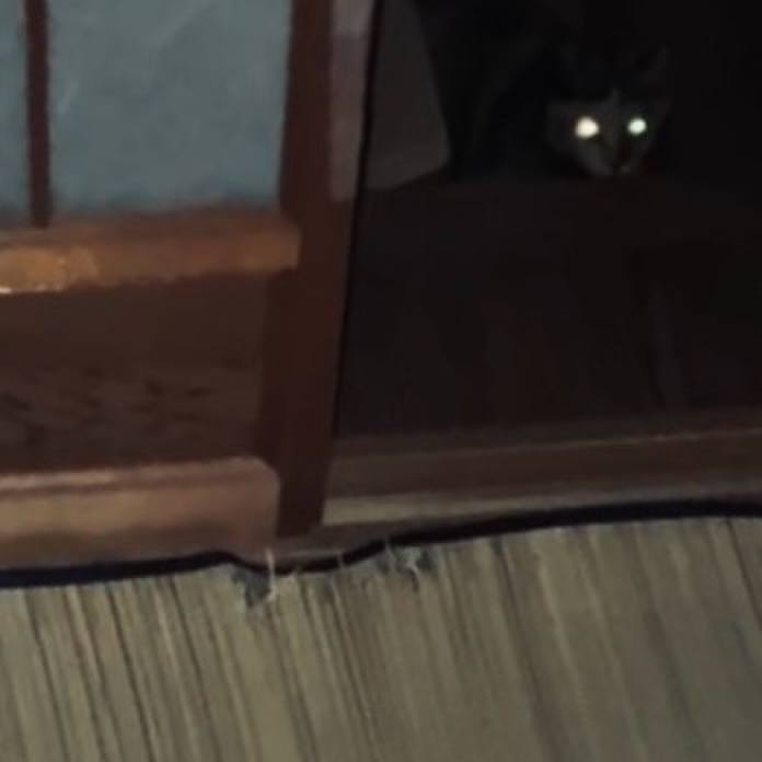 84e69c73 df88 47b1 ba44 b09e1419f2d5 1734349504313