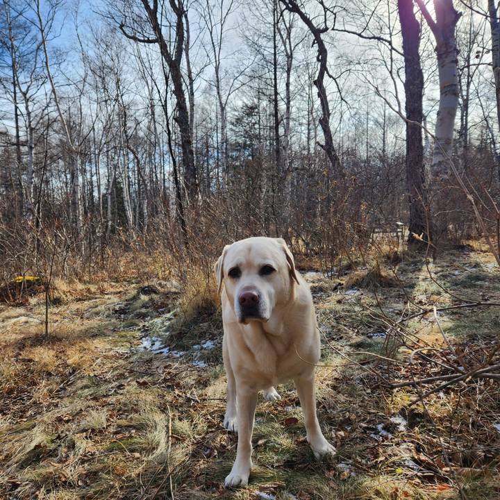 84e6cdb7 3f58 423f 8232 d67c1daf6afd 1703379392559