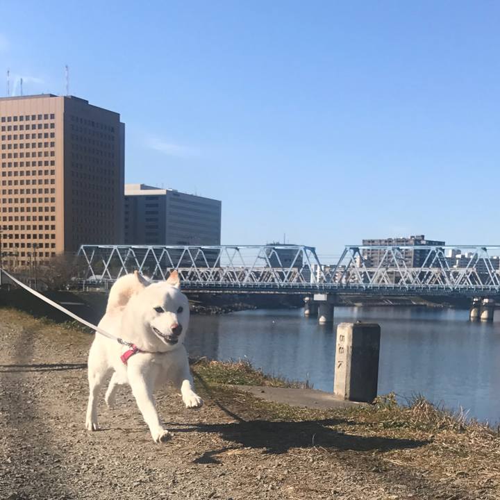 84e6f468 a165 408c 8e95 ed62aa617950 1514605762202