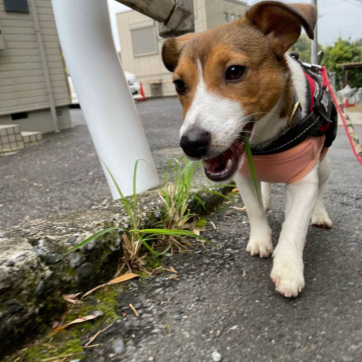 84e73bf2 4e94 469d a146 af44c4cb1a40 1680435869892