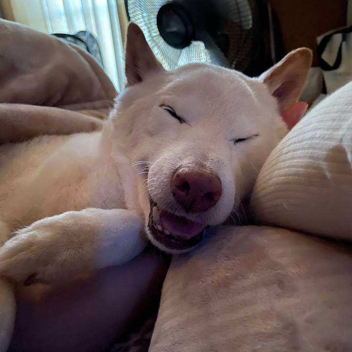 84e7733e 5b17 4052 bd18 9a388bab51c3 1641648904417