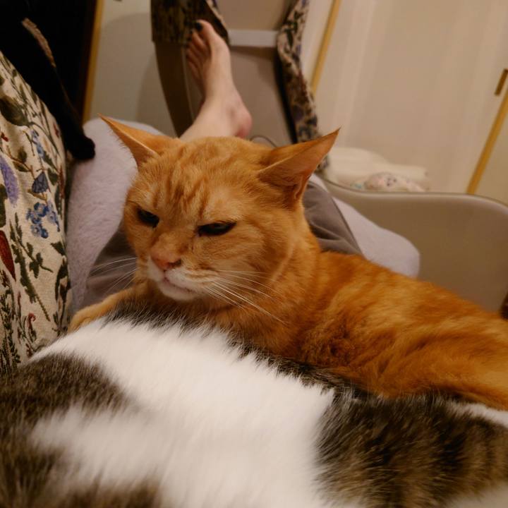 84e7dace ef07 47a4 87e7 3b02df459483 1730458918404