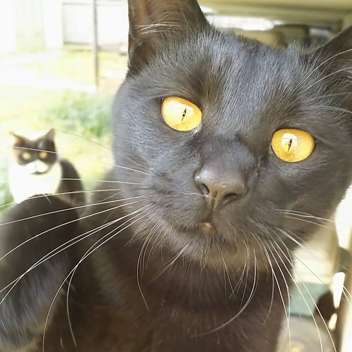 84e8019c 50d9 4e84 ac33 46065f312473 1550036477212