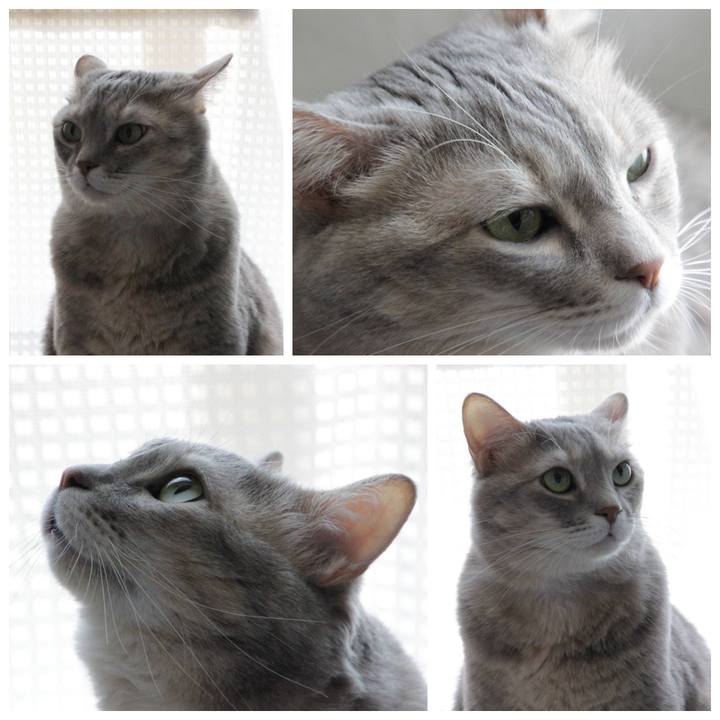 84e80e7f 6cf1 4bb4 be40 493fbe1b0c03 1636992588894