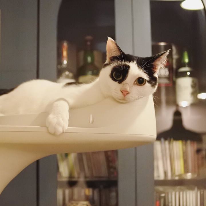 84e8299e 218c 43ad 90ba 53469c0afd28 1539004121759