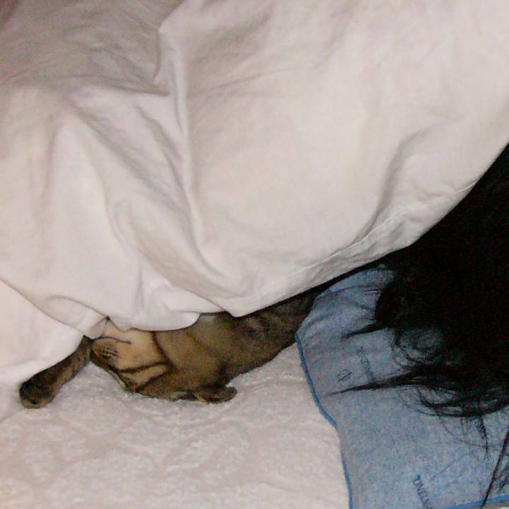 84e832bb 7cb9 4d9d 9f68 1692c4cdc250 1555978687944