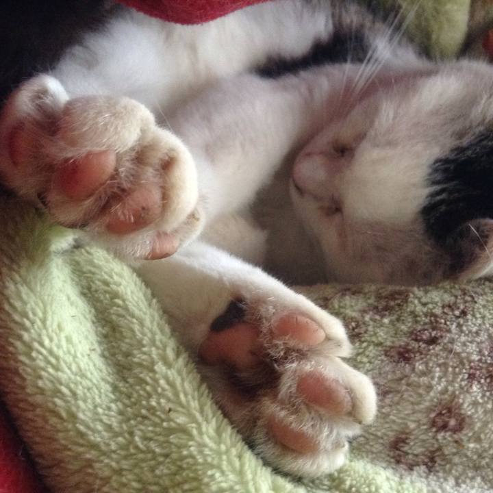 84e853bc b436 41a2 b812 588bbd5d4c74 1550752967506