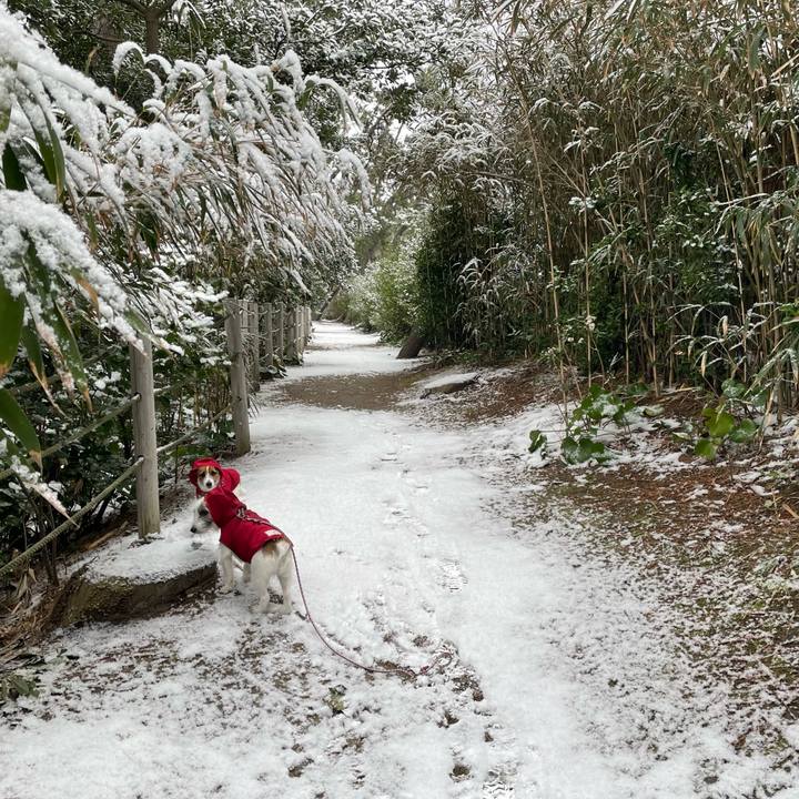 84e8542e 1cc1 458a 8959 73c062b3852b 1644278261846