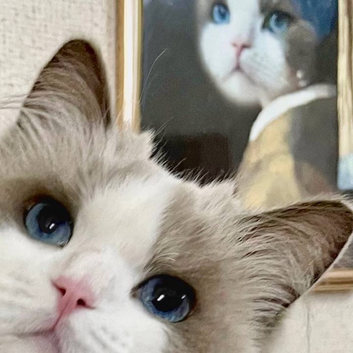 84e86090 1b74 46e0 a97d 389b559dad6a 1674375416155