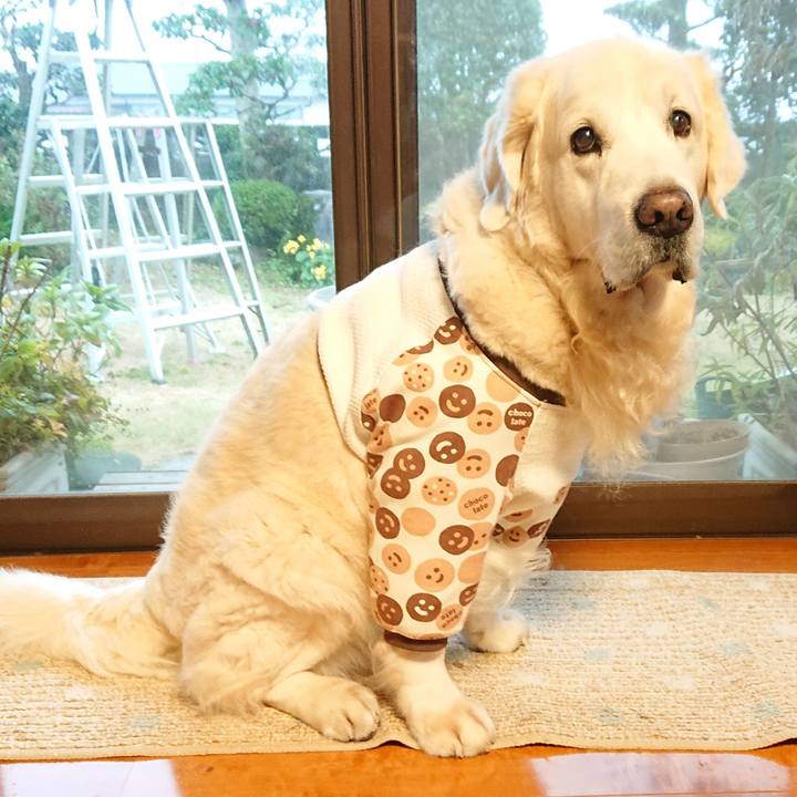 84e88f4b 1f75 4a53 b3ae b4bc601bf971 1574588055002