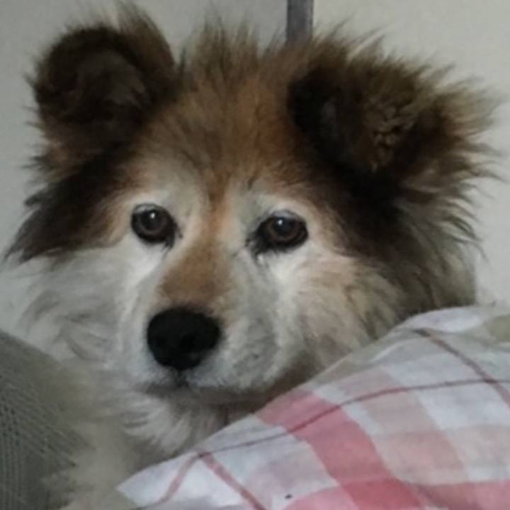 84e8adba 1fbb 41e9 9ffb 4ce1b10eb84b 1592757321001