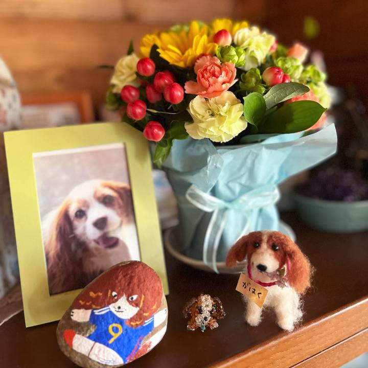 84e8c3fe e553 4f92 a48b 38193795f3eb 1718512538875