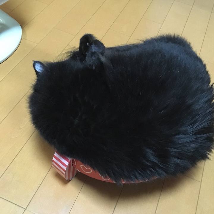 84e90429 3bfb 42f8 b591 9879ee61f464 1572331778655