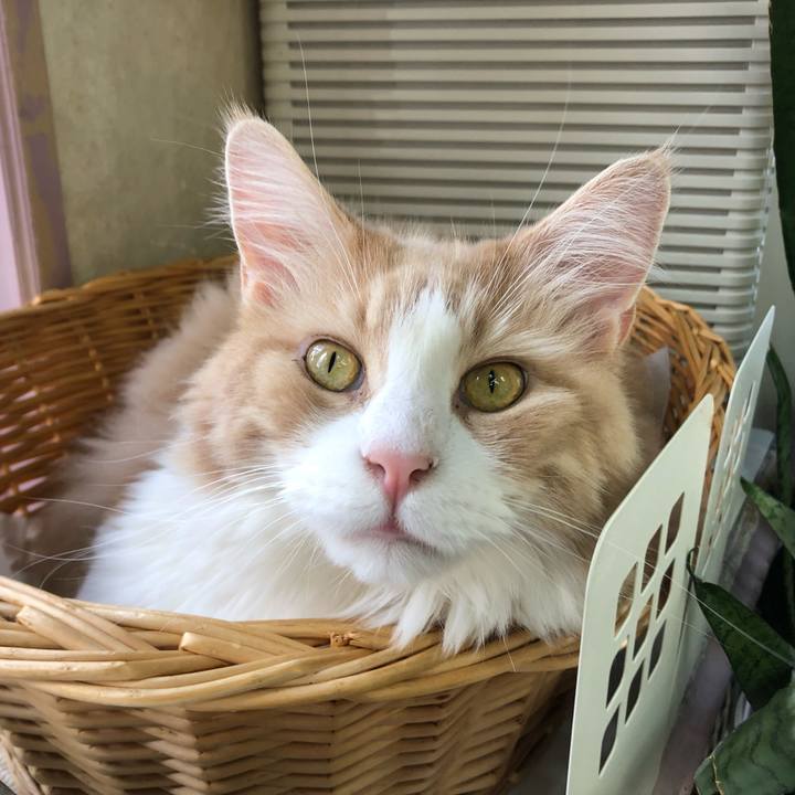 84e91c33 a14e 49f0 b6af 8a0620a2a9ac 1564795292857