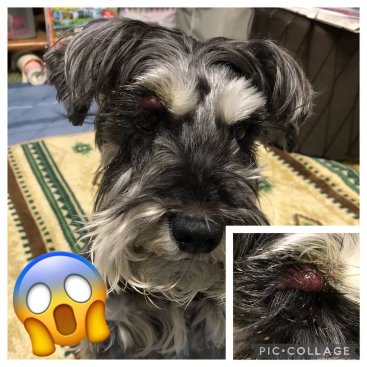 84e96df1 9784 426f 88c9 c330a7c1d682 1684412744605