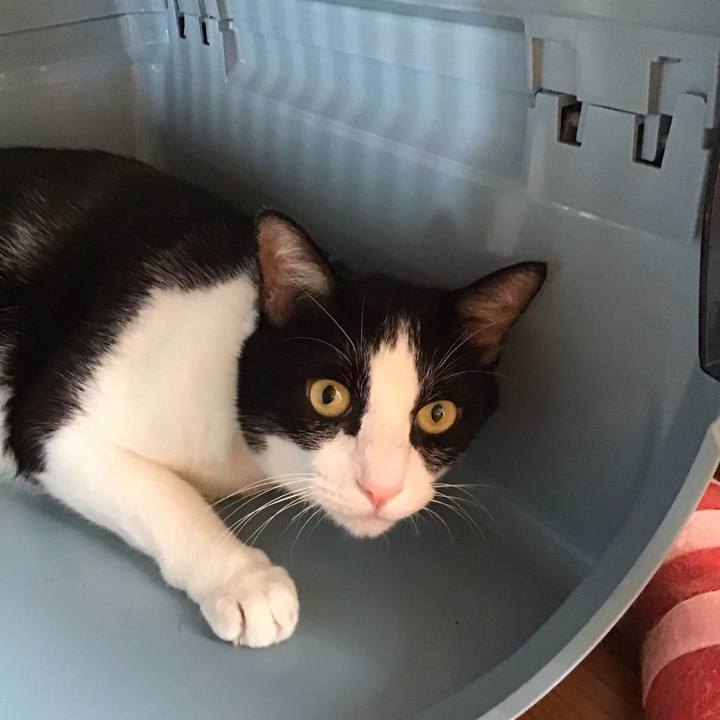 84e975f3 a2f7 4400 83a1 78f875e830b3 1756812217781