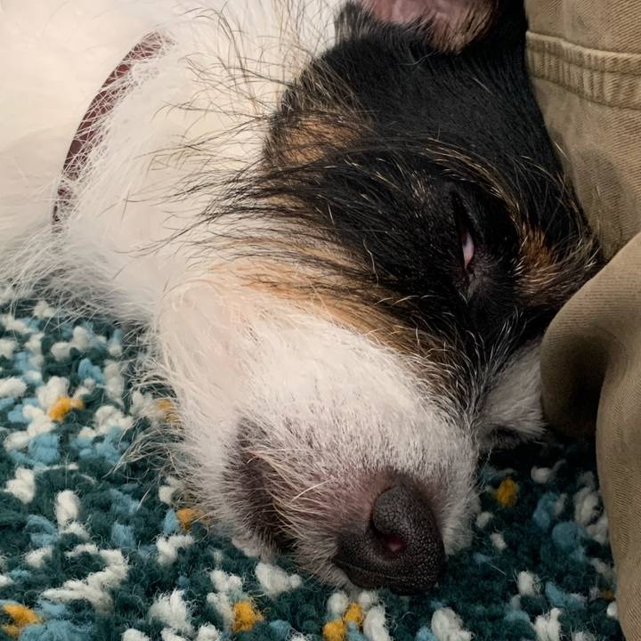 84e98b26 fd45 4e93 a48a 18c61e57ba98 1633239060945