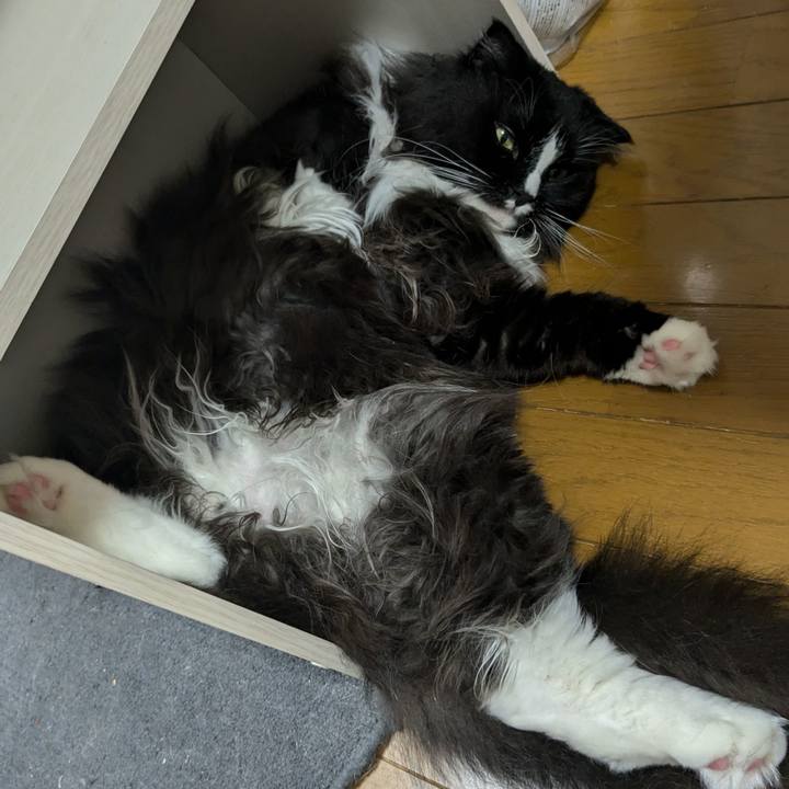 84e98d1a 114c 4541 a726 65701e1d6878 1721952061460