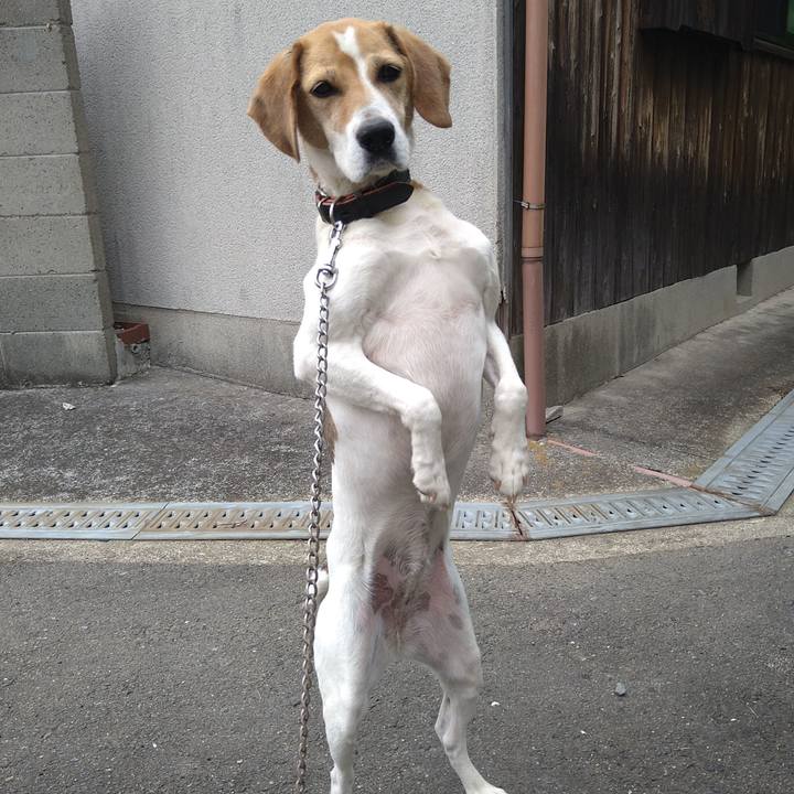 84e9cc0a 990b 47fd 916e 541fdb7aa944 1659787765241