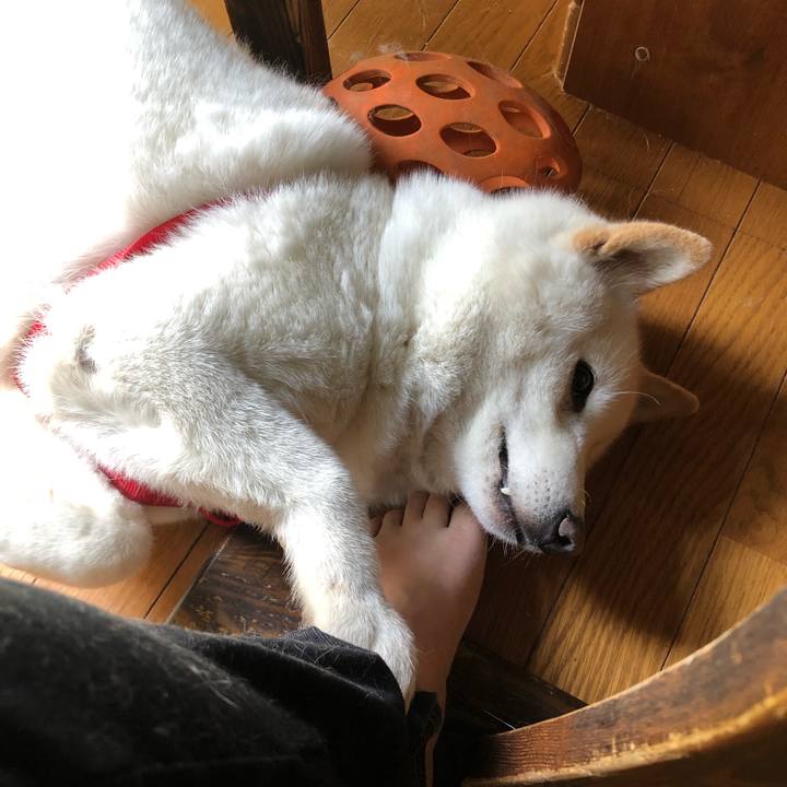 84ea04f3 6209 4057 b3f0 4c705848c08f 1587167679203