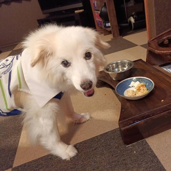 84ea5666 d9a3 41ac bfe1 1d943d2716f3 1755894417116