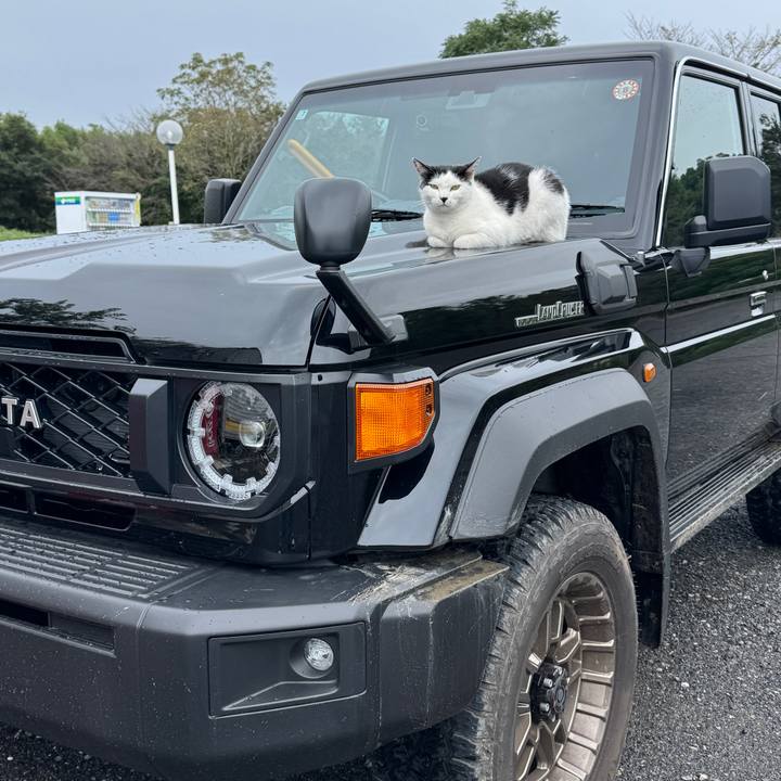 84ea6ae8 8d03 4e64 837c afdefc36f033 1758240773459