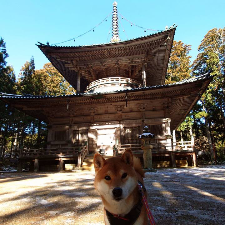 84eaa4a8 63bb 4f25 b63b af5610a3a86c 1767089399174