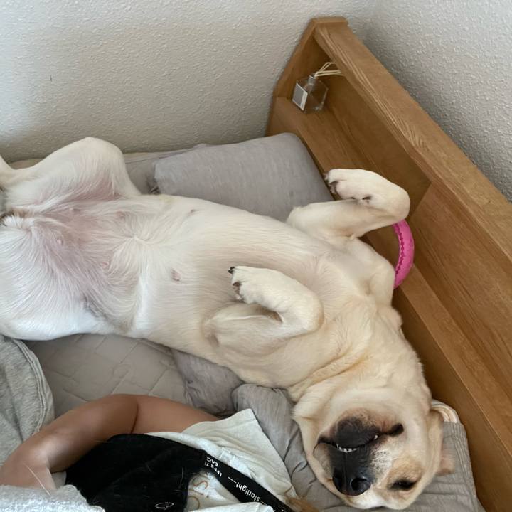 84eaf12f 6751 4f19 bf60 93514d3fc8ca 1654755385106