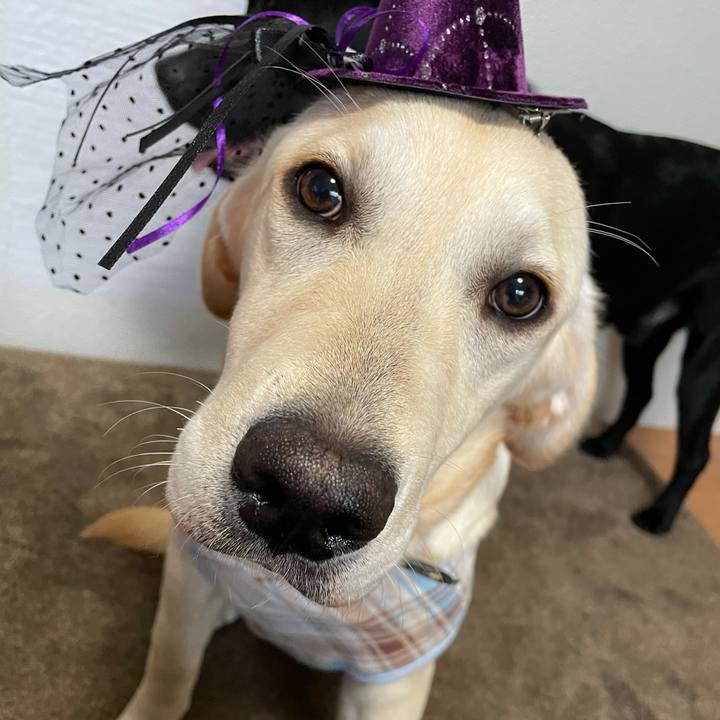 84eb1767 3290 4c4a a65d d62c4e4066f3 1621859997598