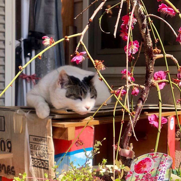 84eb1ca8 2905 4af1 a53d eb2554876195 1552458228524