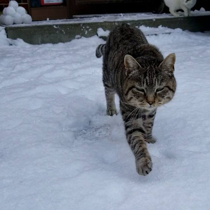 84eb7a8d 5ba6 4589 8639 8b0211c5f18d 1673316876423