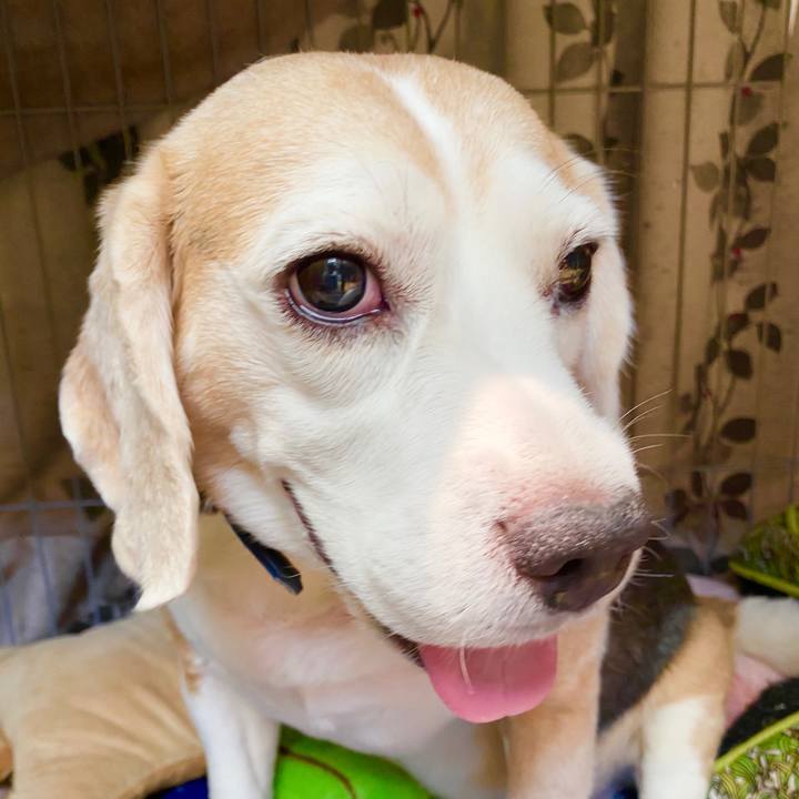 84eba95e b807 4e7d a69a 9d33f76e5095 1598064117527