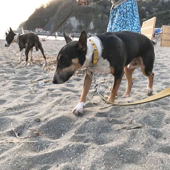 84ebe181 0b7d 4791 aa27 8f451431e263 1522581428260