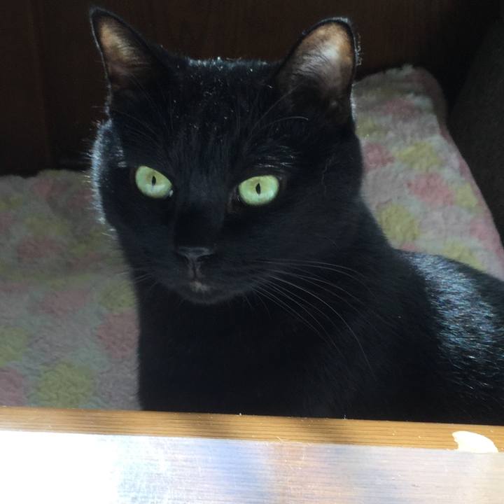 84ec06df 2fd0 4d17 9dab 8052e8ec0560 1603962345179