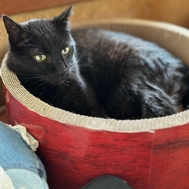 84ec2284 dc99 4022 9bab 167e6801c18f 1684806868409